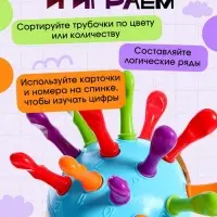 Развивающий набор &laquo;Умный ёжик&raquo;