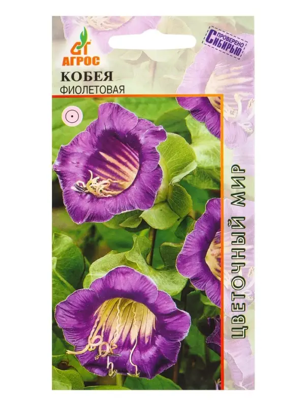 Семена Кобея Семена Кобея "Фиолетовая" 5 шт