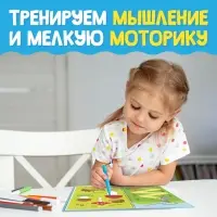 Книги с маркером &laquo;Напиши и сотри. Лабиринты и путаницы&raquo;, набор 2 шт. по 12 стр., многоразовые