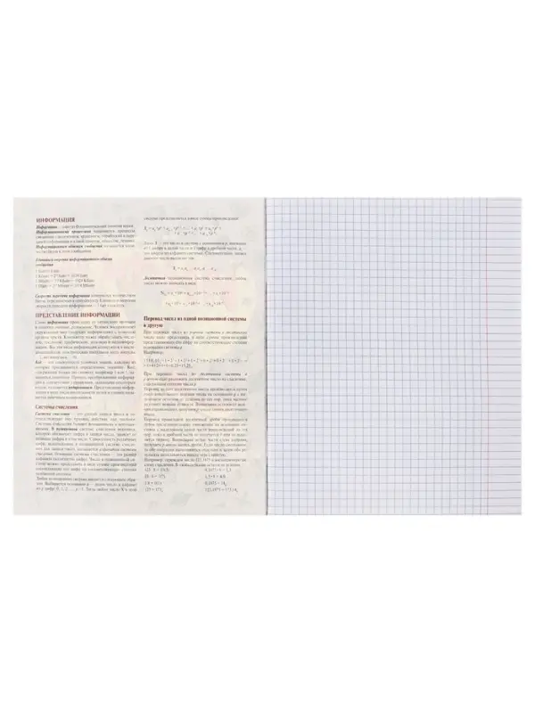 Тетрадь предметная 48 листов в клетку Calligrata, &laquo;Кеды. Информатика&raquo;, картонная обложка