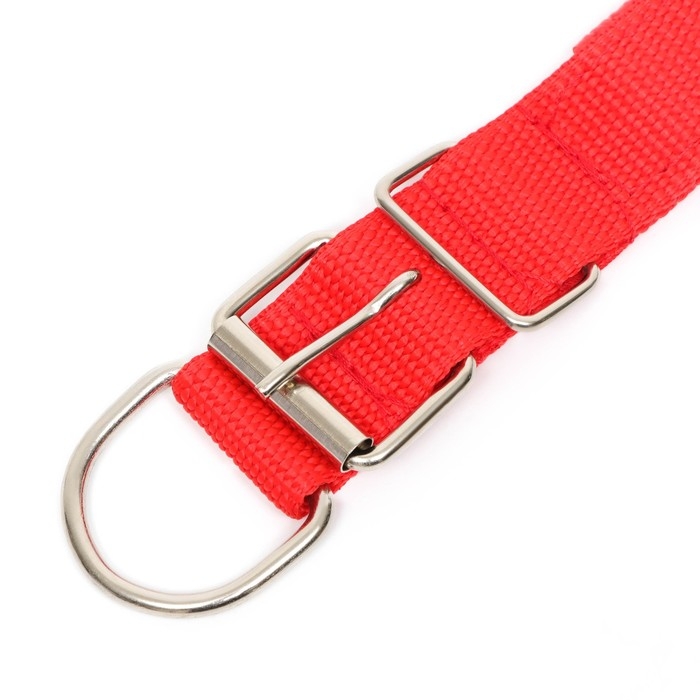 Ошейник Ошейник "Комфорт" комбинированный (полиэстер, искусственная кожа), 58 х 3 см, ОШ 45-52 см, красный 6