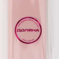 Футляр для столовых приборов выдвижной Доляна, 20&times;4.5&times;2.5 см, МИКС