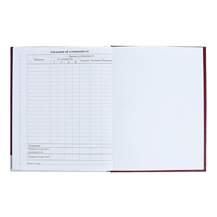 Дневник для 1-4 классов Дневник для 1-4 классов "Енотик", твёрдая обложка, глянцевая ламинация, 48 листов