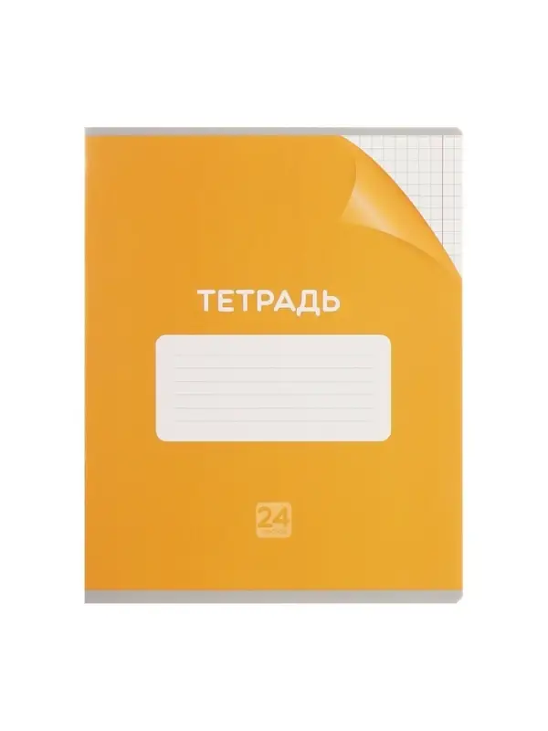 Набор тетрадей 24 листа в клетку Calligrata "Сочный Микс. Паттерн", серые листы, МИКС, 10 шт.