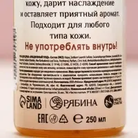 Гель для душа во флаконе шампанское &laquo;С Новым годом!&raquo;, фруктовый аромат, 250 мл, Чистое счастье