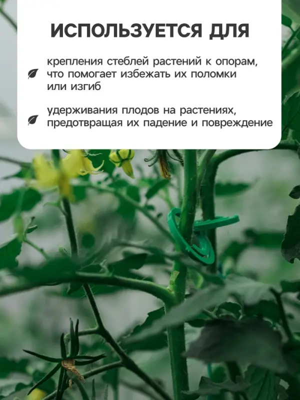 Скрепки садовые для подвязки растений, в наборе 50 шт., пластик, зелёные, Greengo