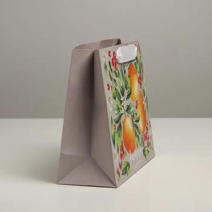 Пакет подарочный крафтовый, упаковка, «Лето», 22 х 17.5 х 8 см Пакет подарочный крафтовый, упаковка, «Лето», 22 х 17.5 х 8 см