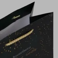 Пакет подарочный &laquo;Волшебного Нового года&raquo;, 18&times;10&times;22.3 см