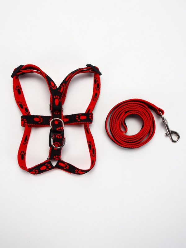 Комплект "Большая лапа", ширина 1,5 см, поводок 120 см, шлейка 28-42 см, красно-чёрный