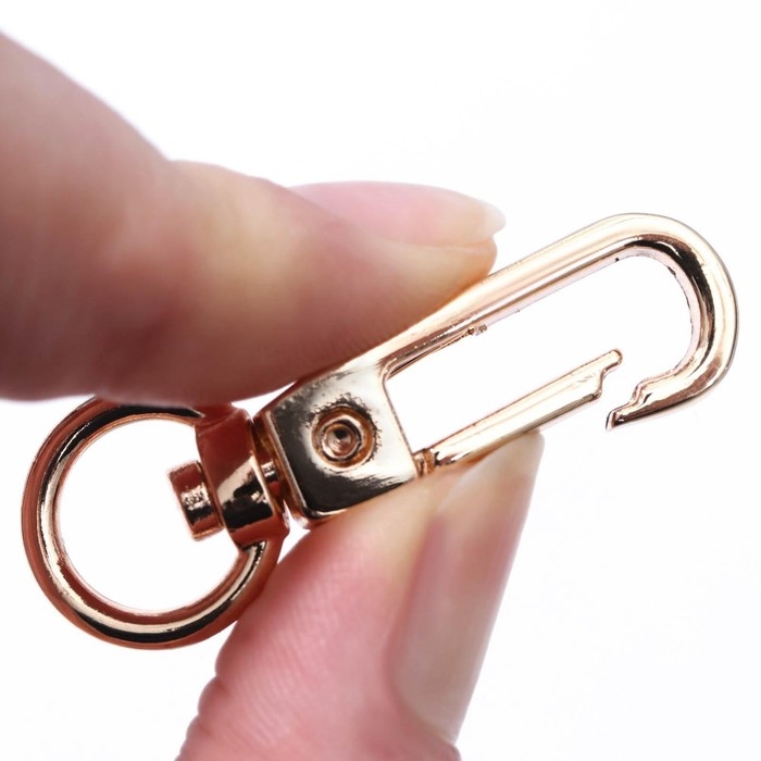 Карабин металлический, 45 × 16 мм / 10 × 2,2 мм, 5 шт, цвет золотой Карабин металлический, 45 × 16 мм / 10 × 2,2 мм, 5 шт, цвет золотой