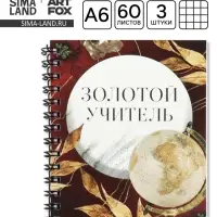 Блокнот А6, 60 л., на спирали, набор 3 шт. &laquo;Золотой учитель&raquo;