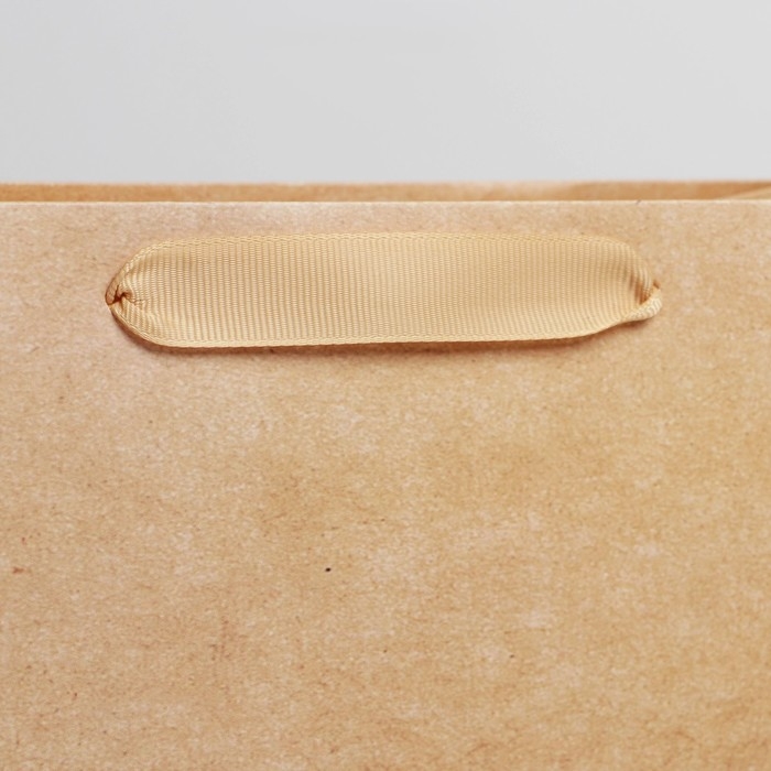 Пакет подарочный ламинированный, упаковка, «Крафтовый», MS 18 х 23 х 10 см