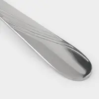 Вилка столовая Доляна &laquo;София&raquo;, длина 18.8 см, толщина 2 мм, нержавеющая сталь