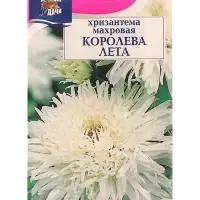 Семена цветов Хризантема многоцветковая &laquo;Королева лета&raquo;, 0.03 г, &laquo;УРОЖАЙ УДАЧИ&raquo;