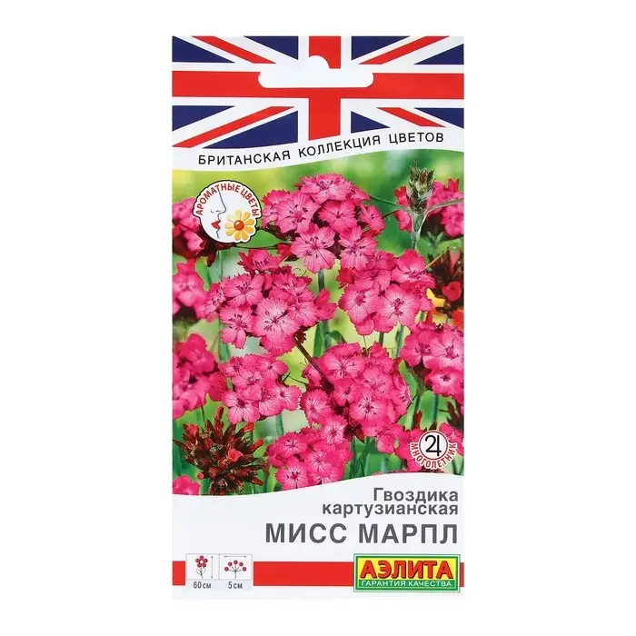 Семена Цветов Гвоздика картузианская  Семена Цветов Гвоздика картузианская "Мисс Марпл", 0,05 г