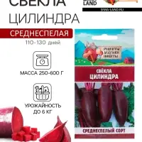 Семена Свёкла "Цилиндра", 2 г