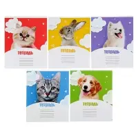 Тетрадь 12 листов в клетку Calligrata &laquo;Домашние любимцы&raquo;, обложка мелованный картон, МИКС