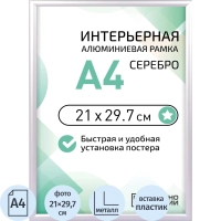 Рамка 210х297, серебристая, алюминевая,  ПЭТ стекло 2019_04_72_345