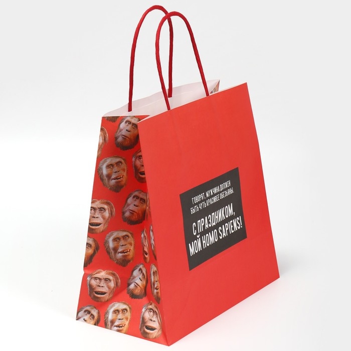 Пакет подарочный, упаковка, «Обезьяна», 22 х 22 х 11 см Пакет подарочный, упаковка, «Обезьяна», 22 х 22 х 11 см