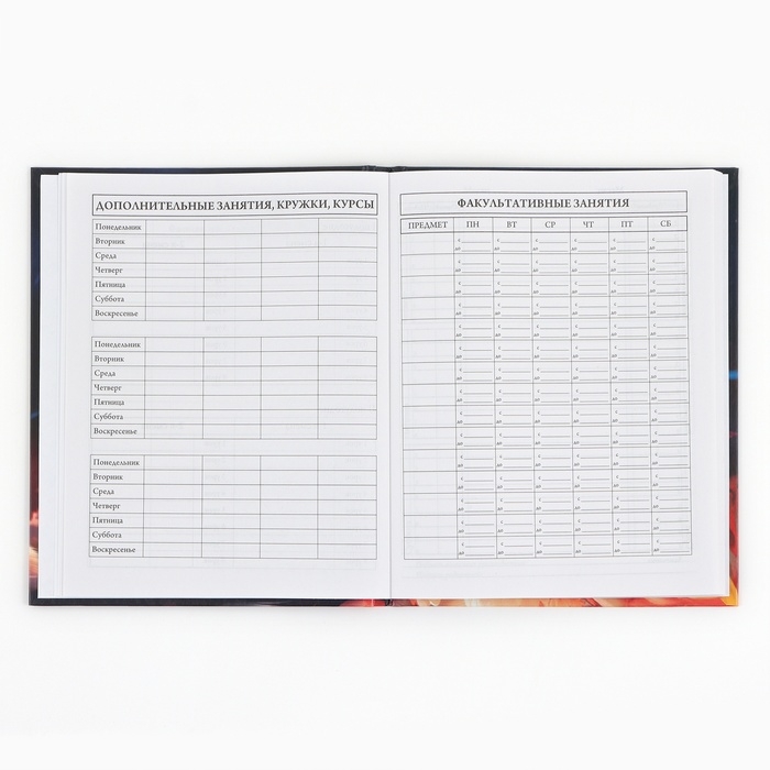 Дневник школьный 1-4 класса, в твердой обложке, 48 л «Рыжий котенок» Дневник школьный 1-4 класса, в твердой обложке, 48 л «Рыжий котенок»