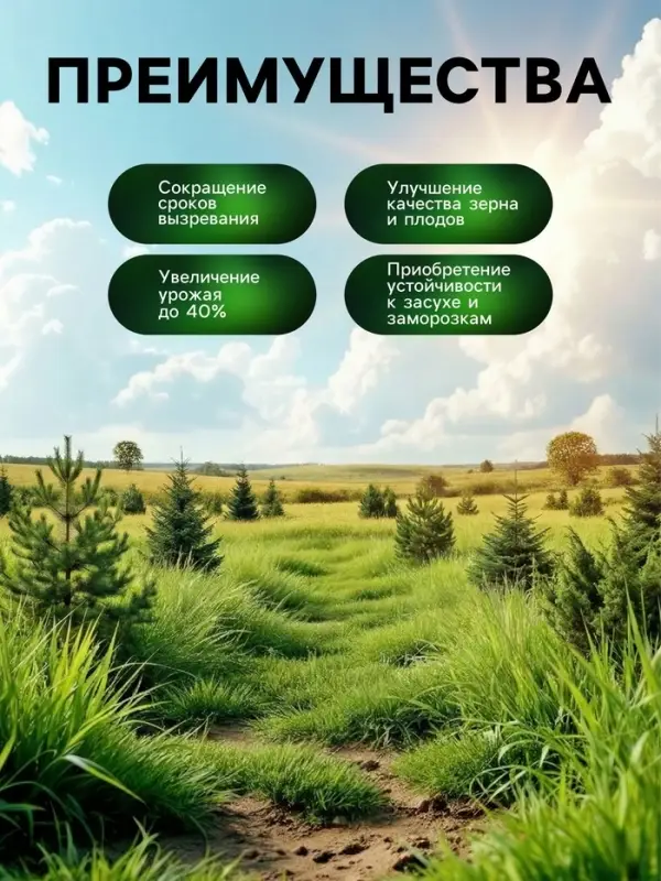 Органическое удобрение для хвойных растений Greenlife, 500 мл