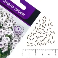 Семена цветов Петуния гибридная &laquo;Пендолино Виолет Айс&raquo; 5 шт.