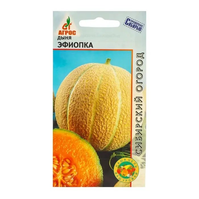 Семена Дыня «Эфиопка», 10 шт., «Агрос» Семена Дыня «Эфиопка», 10 шт., «Агрос»