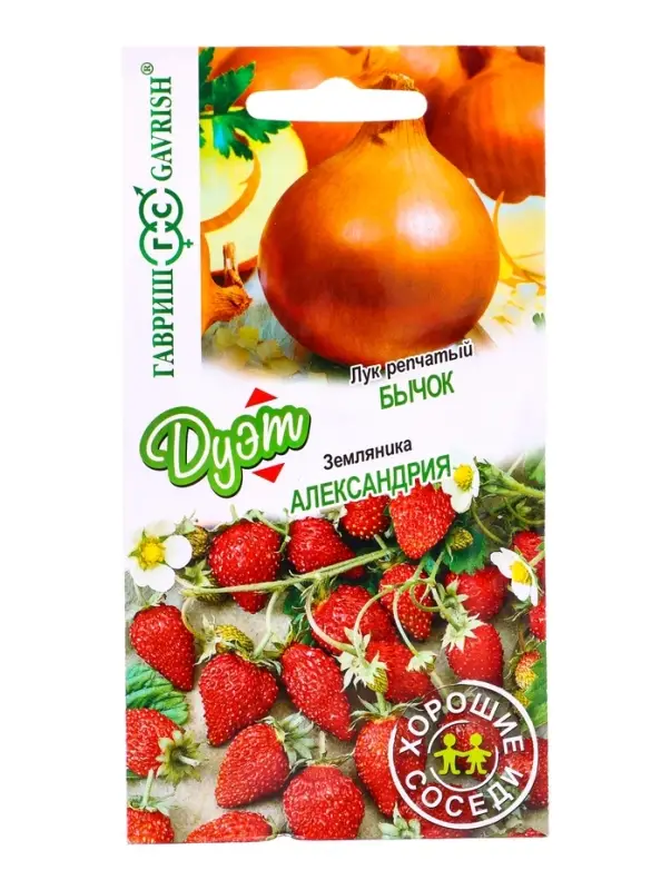 Семена Лук репчатый Бычок 0.5 г +Земляника Александрия 0.03 г Дуэт Хорошие соседи
