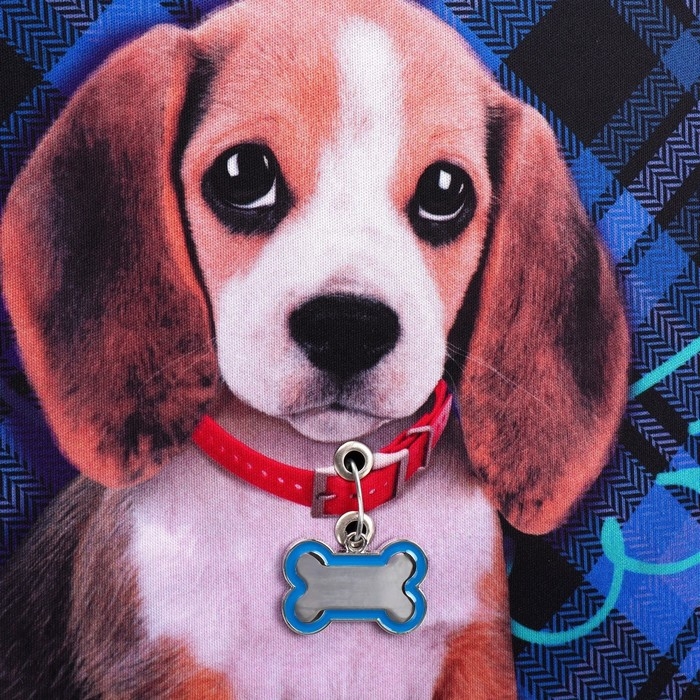 Рюкзак каркасный школьный, 39 х 30 х 14 см, Calligrata "Собачка"