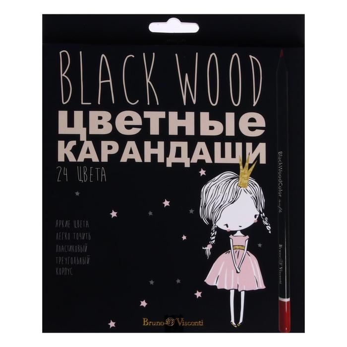 Карандаши 24 цвета BlackWoodColor, пластиковые, трёхгранные, МИКС Карандаши 24 цвета BlackWoodColor, пластиковые, трёхгранные, МИКС