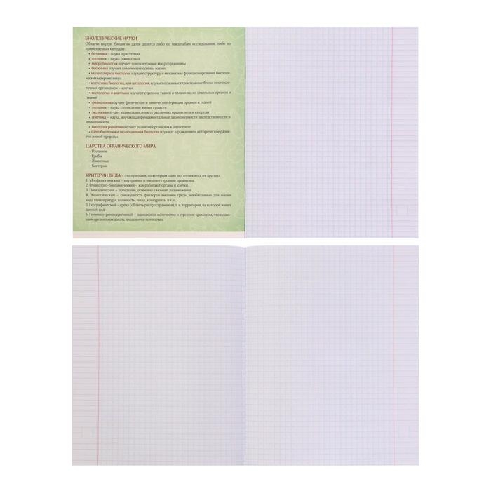 Тетрадь предметная Calligrata Тетрадь предметная Calligrata "СуперНеон", 48 листов в клетку Биология, со справочным материалом, обложка мелованный картон, блок офсет