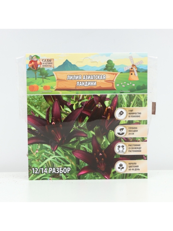 Лилия Азиатская «Ландини», луковица в пакете с перфорацией, р-р 12/14, 3 шт. Лилия Азиатская «Ландини», луковица в пакете с перфорацией, р-р 12/14, 3 шт.