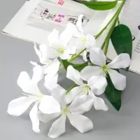 Цветы искусственные "Баухиния пёстрая" d-13 см 71 см, белый