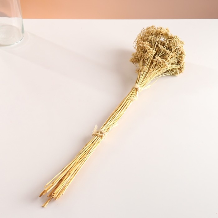 Набор сухоцветов Набор сухоцветов "Тысячелистник", банч длина 60 (+/- 6 см), выбеленный