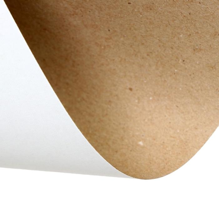 Картон белый А4, 8 листов Картон белый А4, 8 листов "Луч" Барс, плотность 220 г/м2