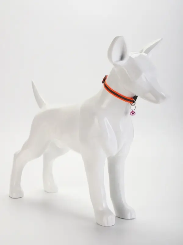 Ошейник Ошейник "Спорт" со светоотражающей полосой, 31 х 1 см, оранжевый