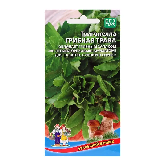 Семена Тригонелла  Семена Тригонелла "Грибная трава", 1 г