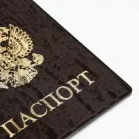Обложка для паспорта, велюр, коричневая