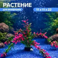 Растение искусственное