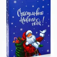 Адвент календарь с мёдом &laquo;Счастливого Нового года&raquo;, облепиха, кедровые орешки, малина, цитрус, клубника (12 шт. &times; 30 г)