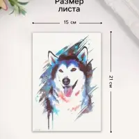 Переводная тату на тело цветная «Хаски», 21×14.8 см