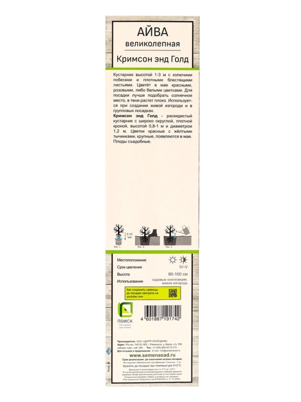 Айва великолепная (Хеномелес) «Кримсон энд Голд», саженец, туба, 1 шт. Айва великолепная (Хеномелес) «Кримсон энд Голд», саженец, туба, 1 шт.