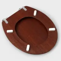 Сиденье для унитаза с крышкой &laquo;Натуральное дерево&raquo;, 45&times;35 см, цвет орех