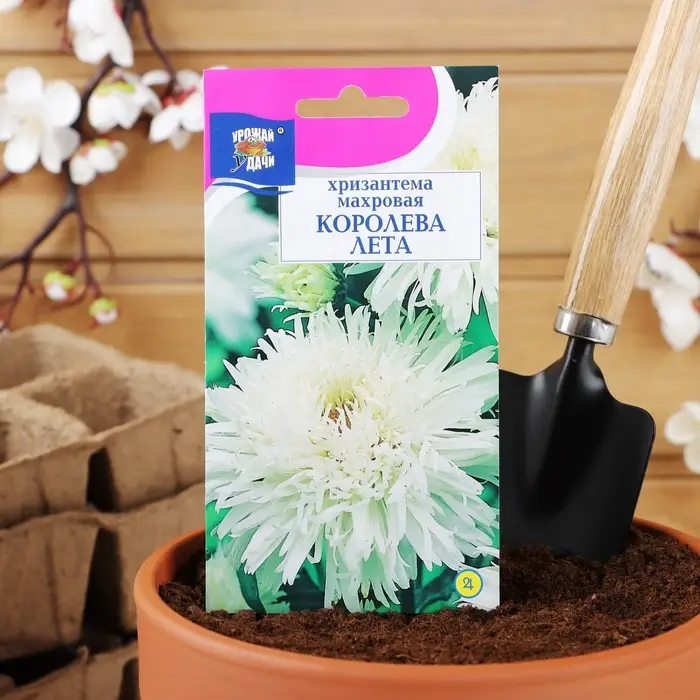 Семена цветов Хризантема многоцветковая &laquo;Королева лета&raquo;, 0.03 г, &laquo;УРОЖАЙ УДАЧИ&raquo;