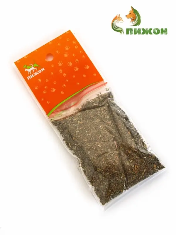 Кошачья мята  Кошачья мята "Пижон", 10 г
