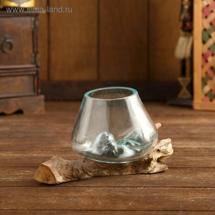 Вазон на коряге  Вазон на коряге "Очарование" 12х10х10 см