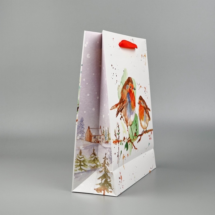 Пакет подарочный новогодний ламинированный «Пение птиц», M 30 х 26 х 9 см Пакет подарочный новогодний ламинированный «Пение птиц», M 30 х 26 х 9 см