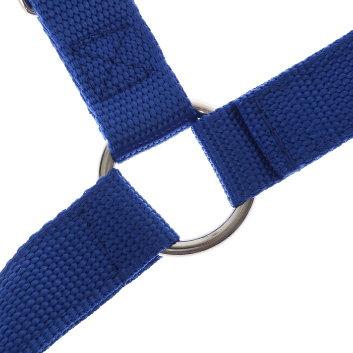 Недоуздок из нейлона, регулируемый размер, темно-синий Недоуздок из нейлона, регулируемый размер, темно-синий