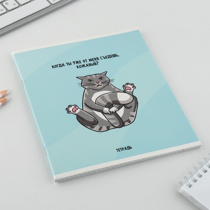 Тетрадь в клетку, 48 листов А5 на скрепке МИКС «1 сентября: Котики», обложка мелованный картон 230 гр внутренний блок №1, белизна 96% Тетрадь в клетку, 48 листов А5 на скрепке МИКС «1 сентября: Котики», обложка мелованный картон 230 гр внутренний блок №1, белизна 96%