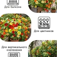 Семена цветов Настурция &laquo;Большая смесь&raquo; 0.3 г
